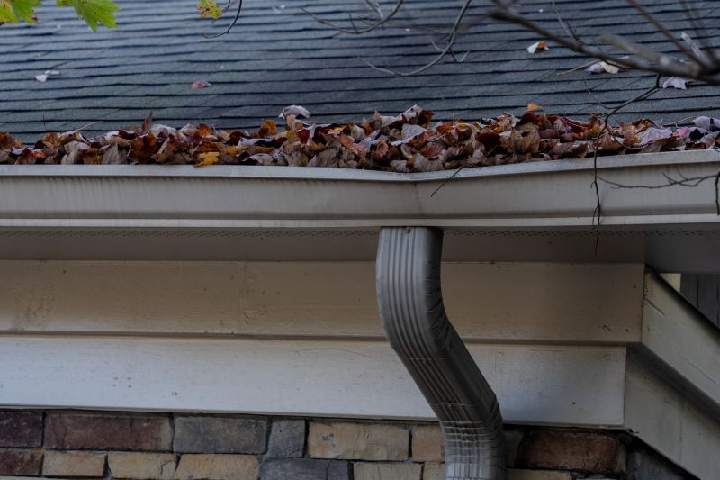 Gutter Repair Service